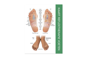 Reflex Points For Foot And Hand Chart (8-1/2 X 11) Dutch