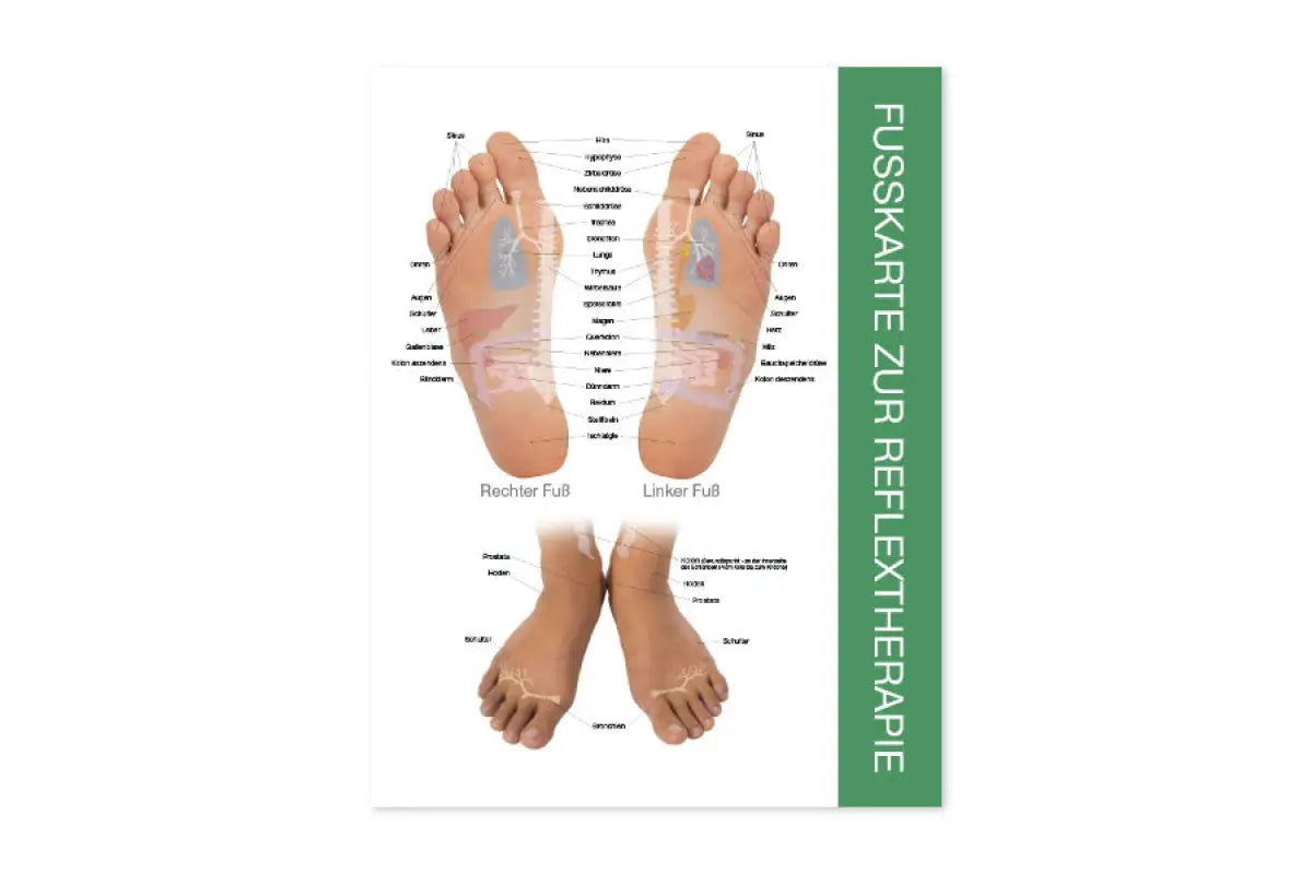 Reflexology Feet by Tina Tarrant Vintage Style Health Therapy Home Decor  01721 | eBay