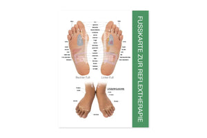Reflex Points For Foot And Hand Chart (8-1/2 X 11) German