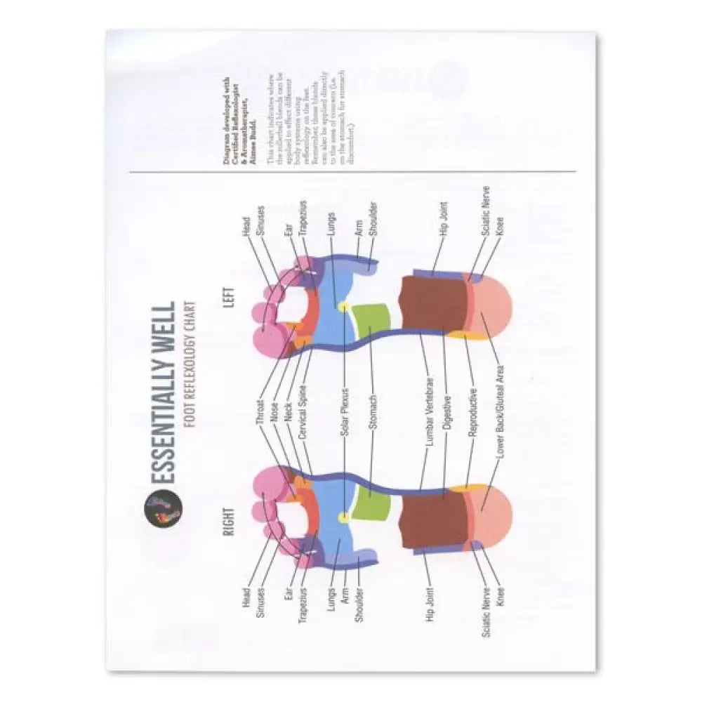 Essentially Well Recipe Sheets (10 Sheets)