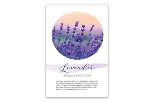 Lavender Show and Share Digital Highlight Card