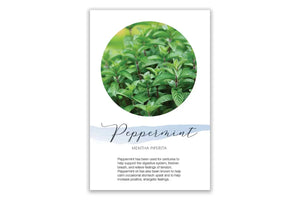 Peppermint Show and Share Digital Highlight Card