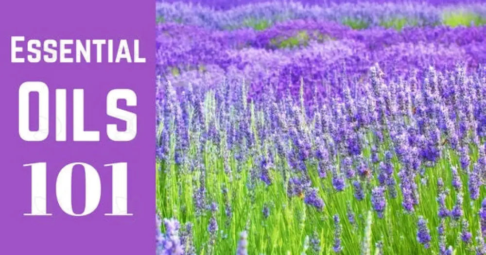 &quot;Essential Oils 101&quot; Essential Oil Academy Digital Online Class