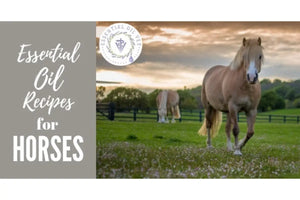 "Essential Oil Recipes for Horses" Essential Oil Academy Digital Online Class