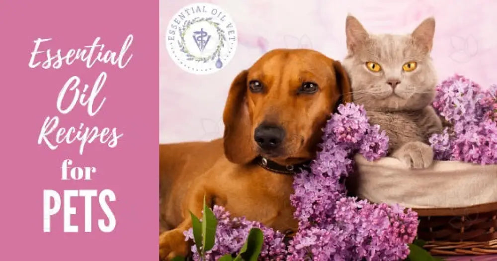 &quot;Essential Oil Recipes for Pets&quot; Essential Oil Academy Digital Online Class