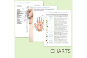 Modern Essentials® Handbook September 2020 12Th Edition