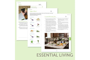 Modern Essentials® Handbook September 2020 12Th Edition