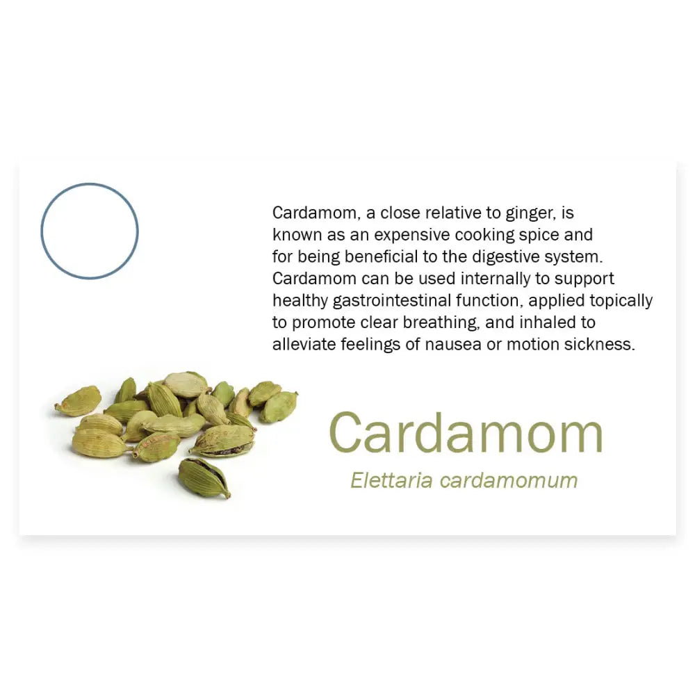 Essential Oil Pass Along Sample Cards Cardamom