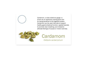 Essential Oil Pass Along Sample Cards Cardamom