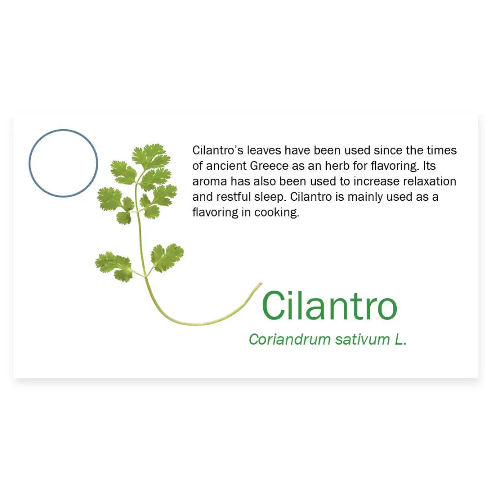 Essential Oil Pass Along Sample Cards Cilantro