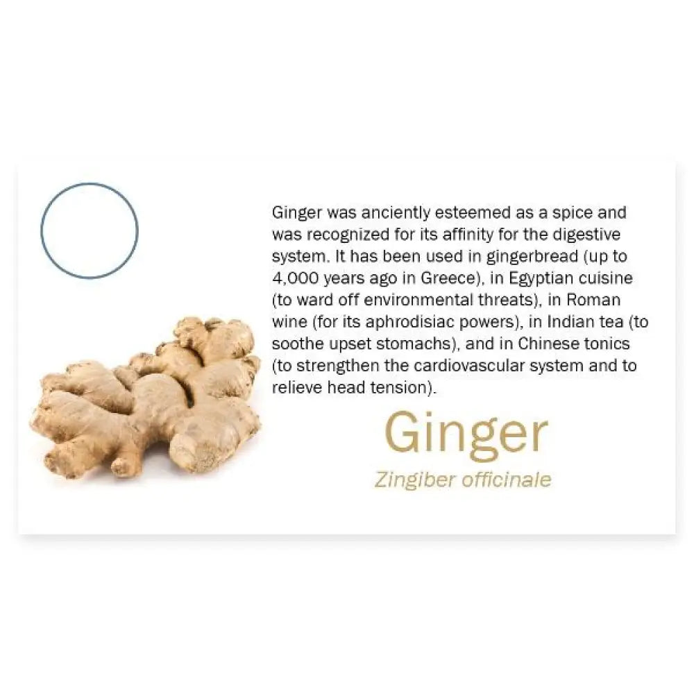 3274Ginger