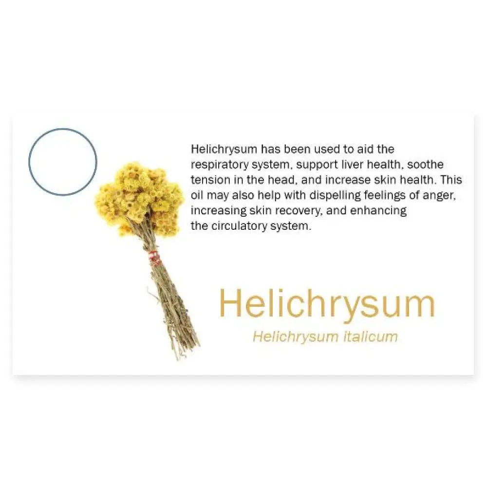 3274Helichrysum
