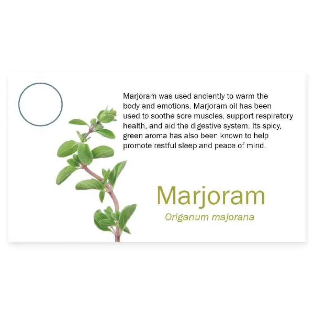 3274Marjoram