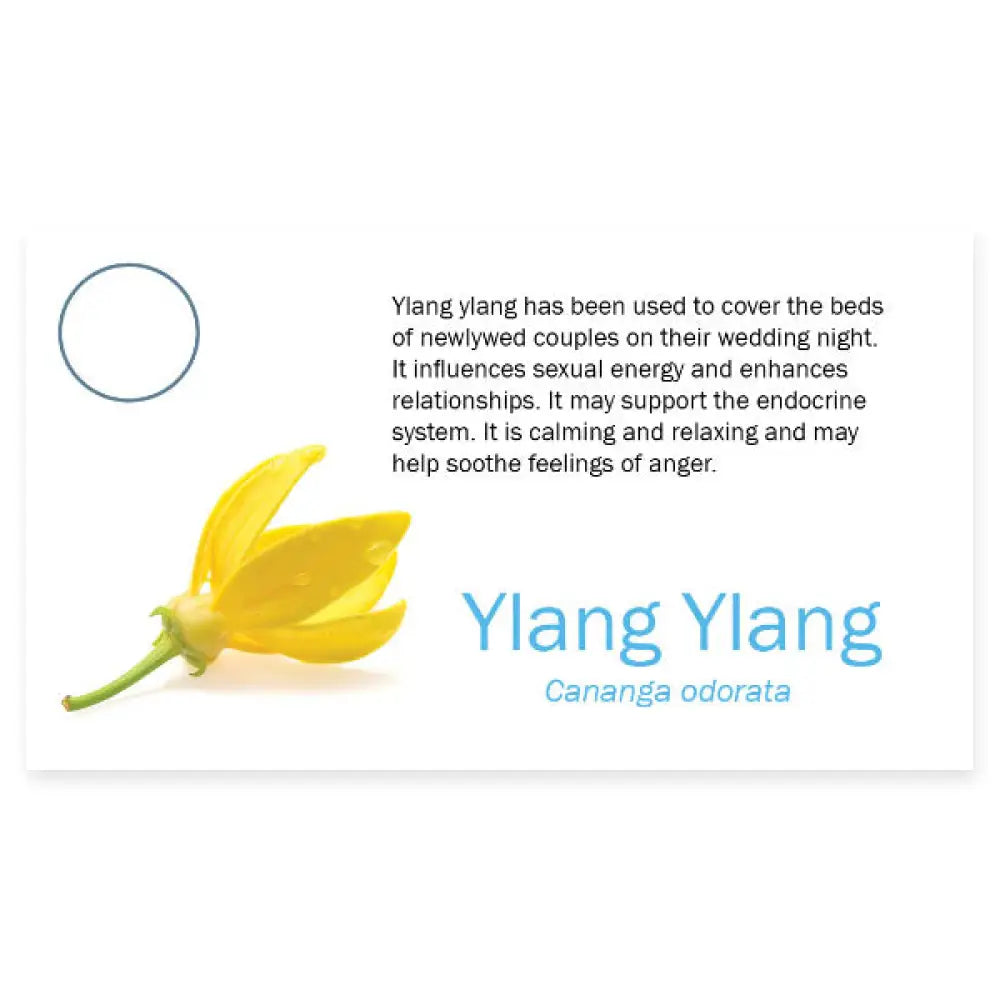 Essential Oil Pass Along Sample Cards Ylang