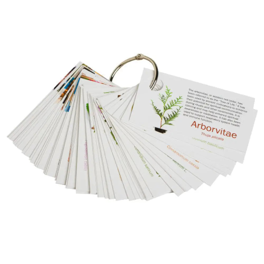 doTERRA® Pass-along Card Set on a Ring (60 Cards)