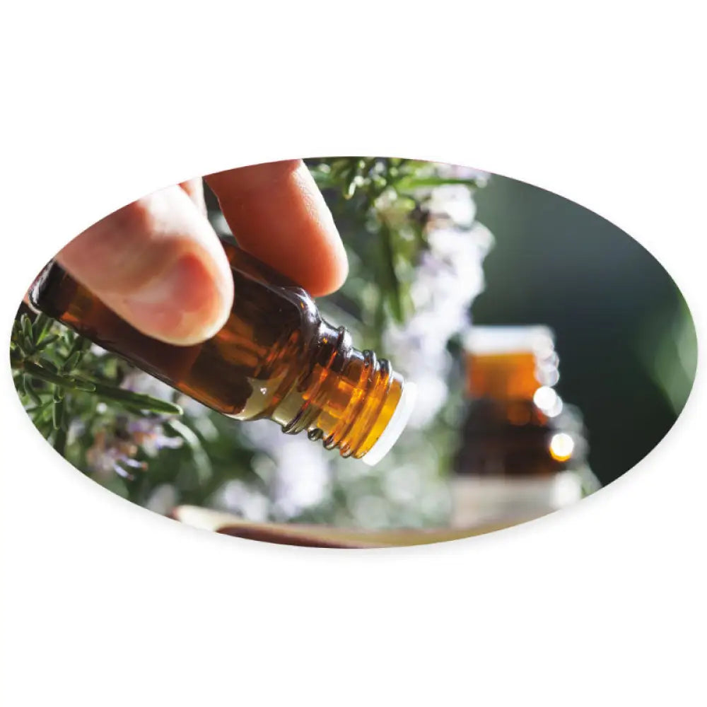 Assorted Aroma Share Gift Tags (Set Of 24)