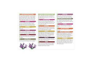 Essential Oils For First Aid Oil Reference Card (Pack Of 10)