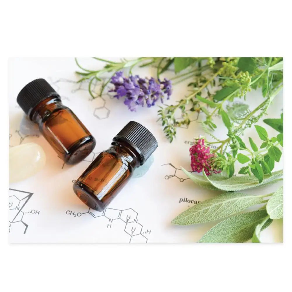 Assorted Greeting Cards and Envelopes (Set of 12)