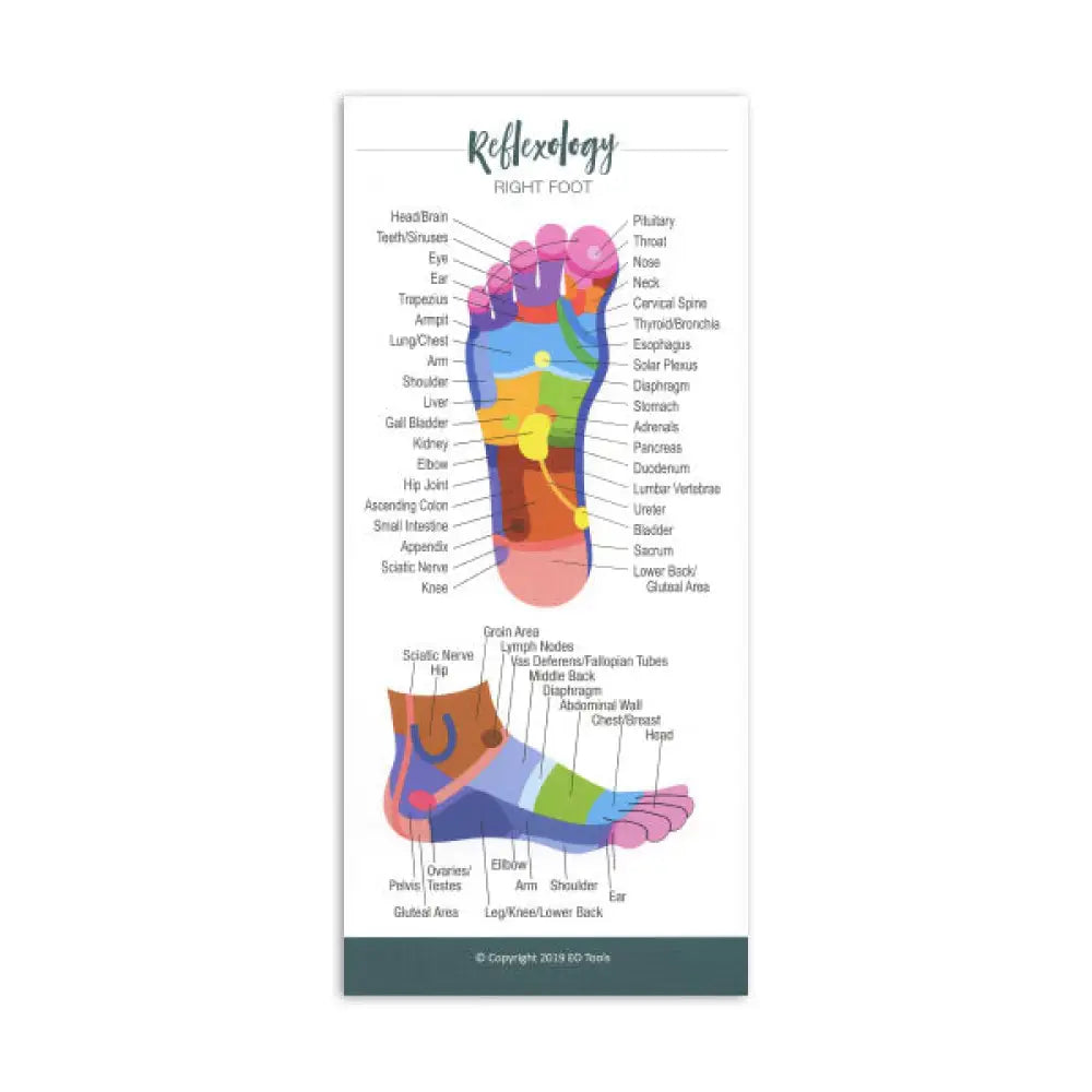 Reflexology Reference Cards (Pack Of 25)