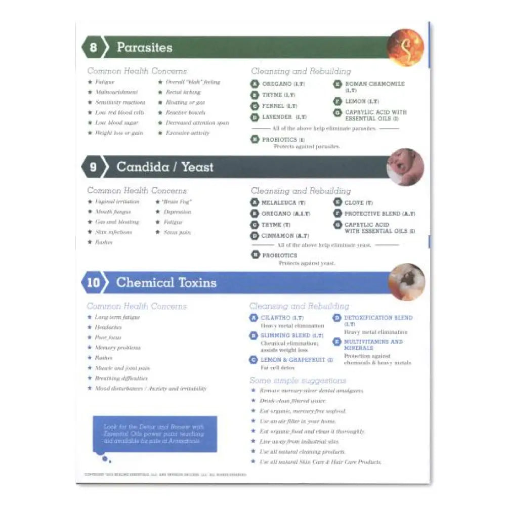 Detox &amp; Renew With Essential Oils 2-Page Foldout (Pack Of 25)