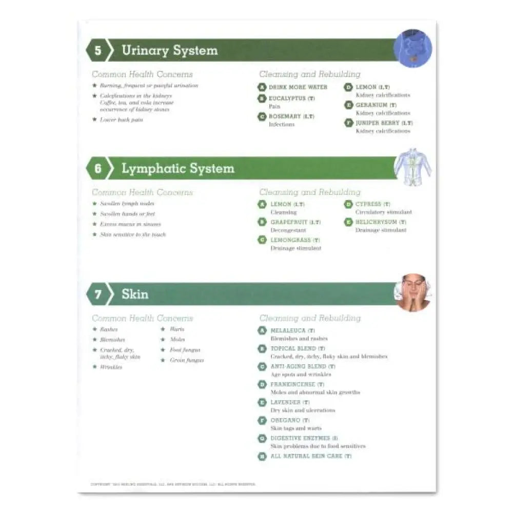 Detox &amp; Renew With Essential Oils 2-Page Foldout (Pack Of 25)