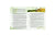 "Chiropractic & Essential Oils: Live a Stress-Free & Healthy Life" 2-Page Foldout (Pack of 25)
