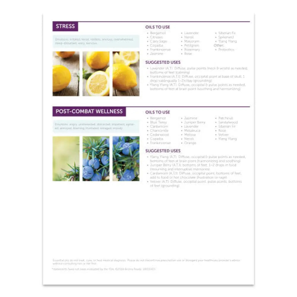 Essential Oils And The Brain 2-Page Foldout Guide (Pack Of 25)