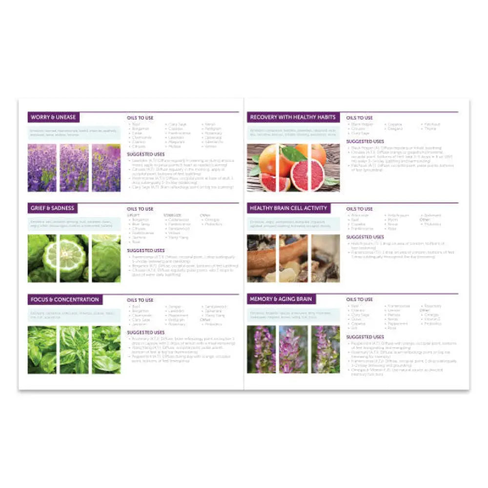 Essential Oils And The Brain 2-Page Foldout Guide (Pack Of 25)