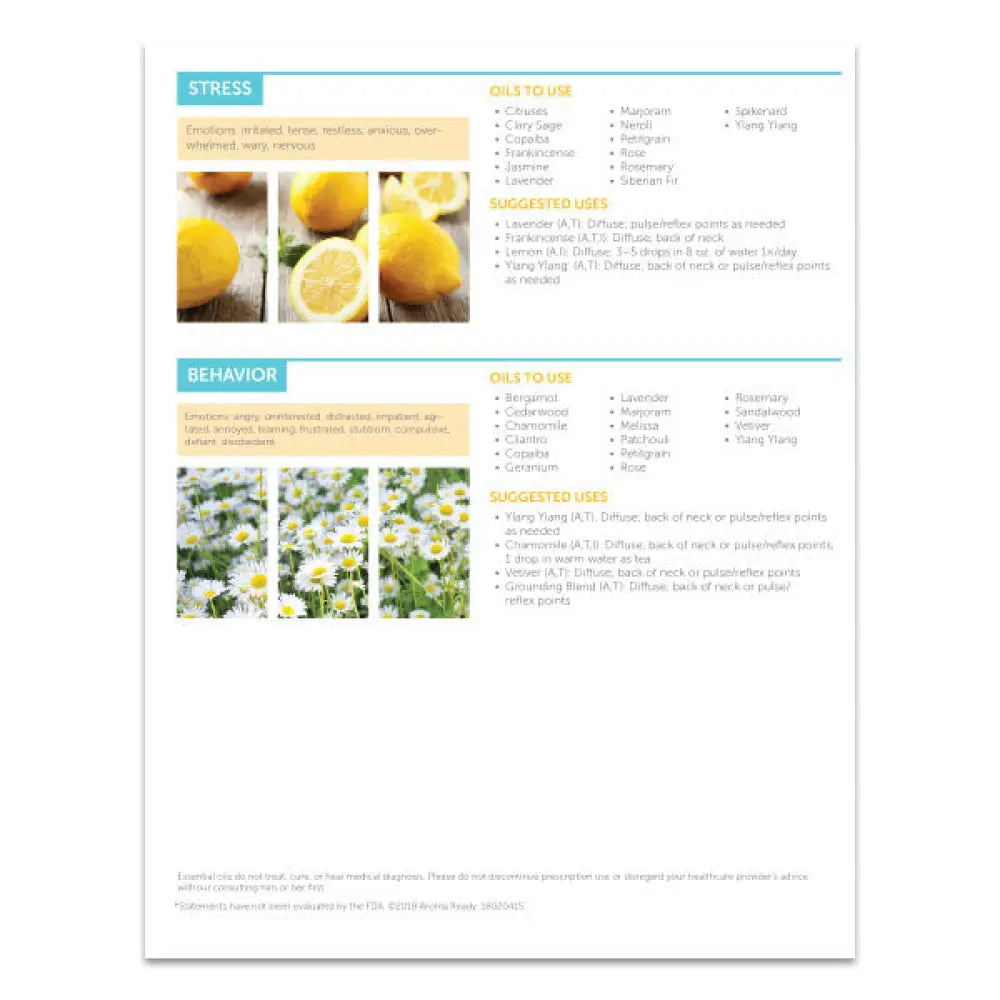 Essential Oils And The Brain For Children 2-Page Foldout Guide (Pack Of 25)