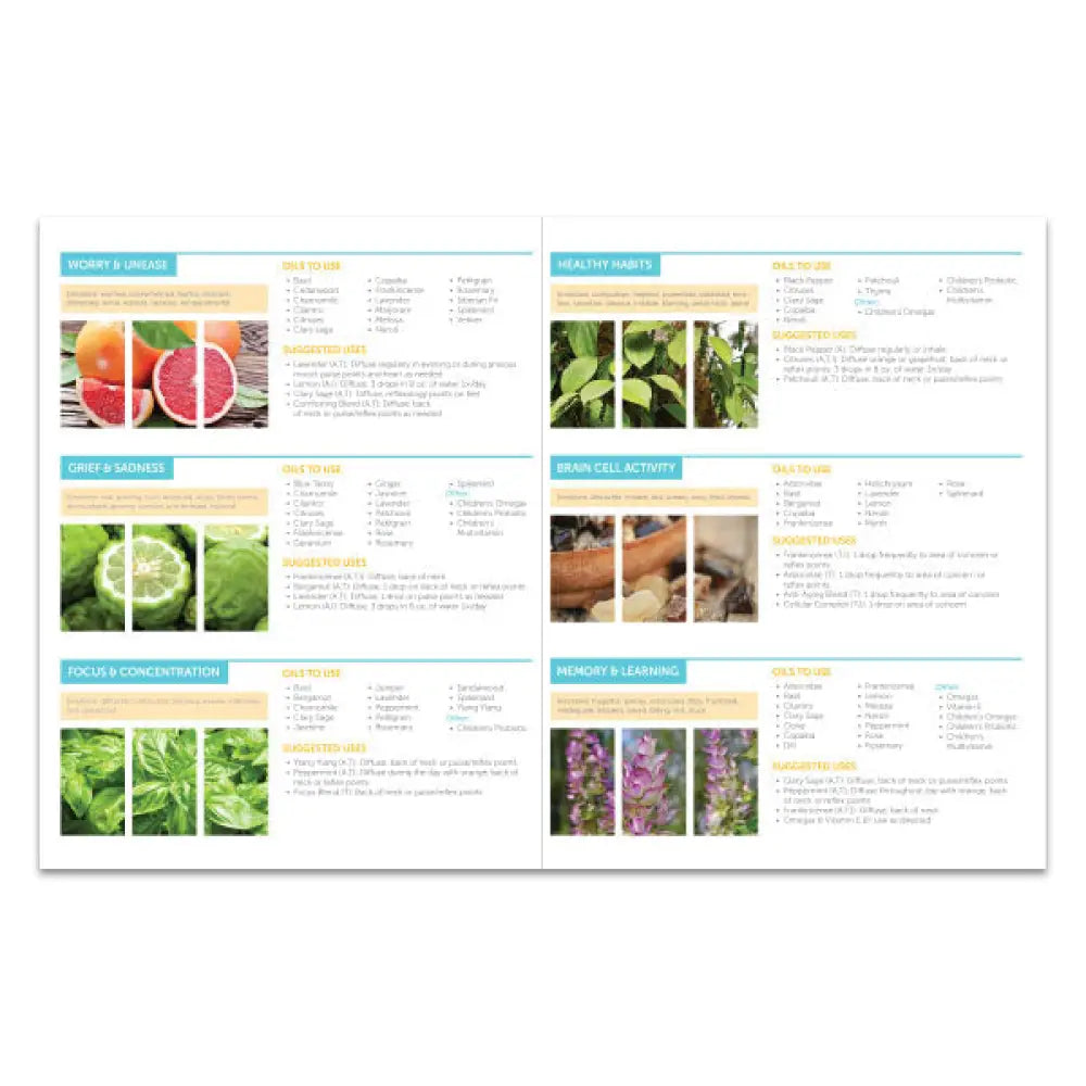 Essential Oils And The Brain For Children 2-Page Foldout Guide (Pack Of 25)