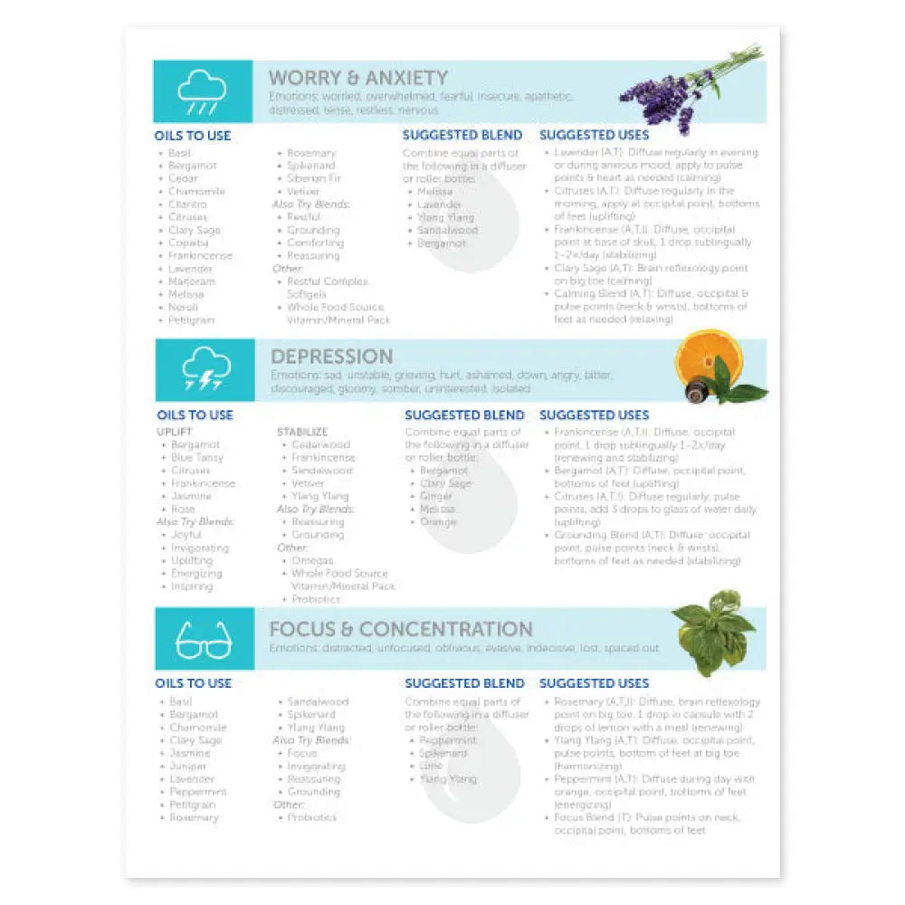 Essential Oils And The Brain 2-Page Foldout Guide (Pack Of 25)