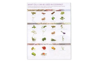 Cooking With Essential Oils Handout (Pack Of 25)