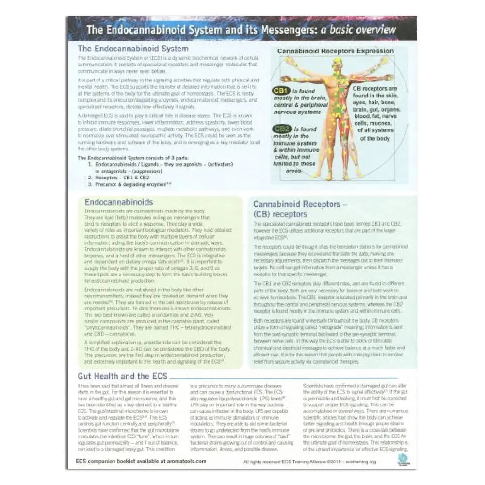 &quot;The Endocannabinoid System and its Messengers: A Basic Overview&quot; Tear Pad (25 Sheets)