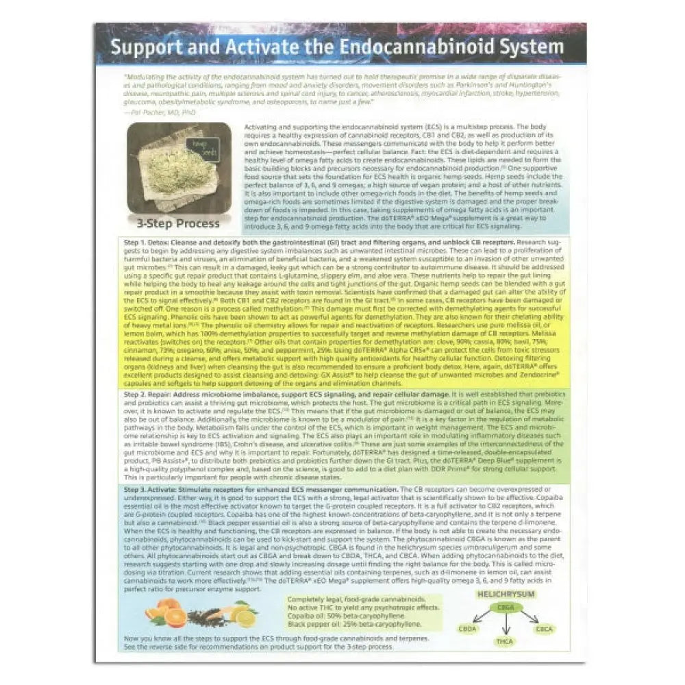 &quot;Support and Activate the Endocannabinoid System&quot; Tear Pad (25 sheets)
