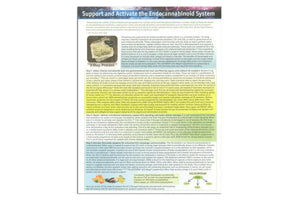 "Support and Activate the Endocannabinoid System" Tear Pad (25 sheets)