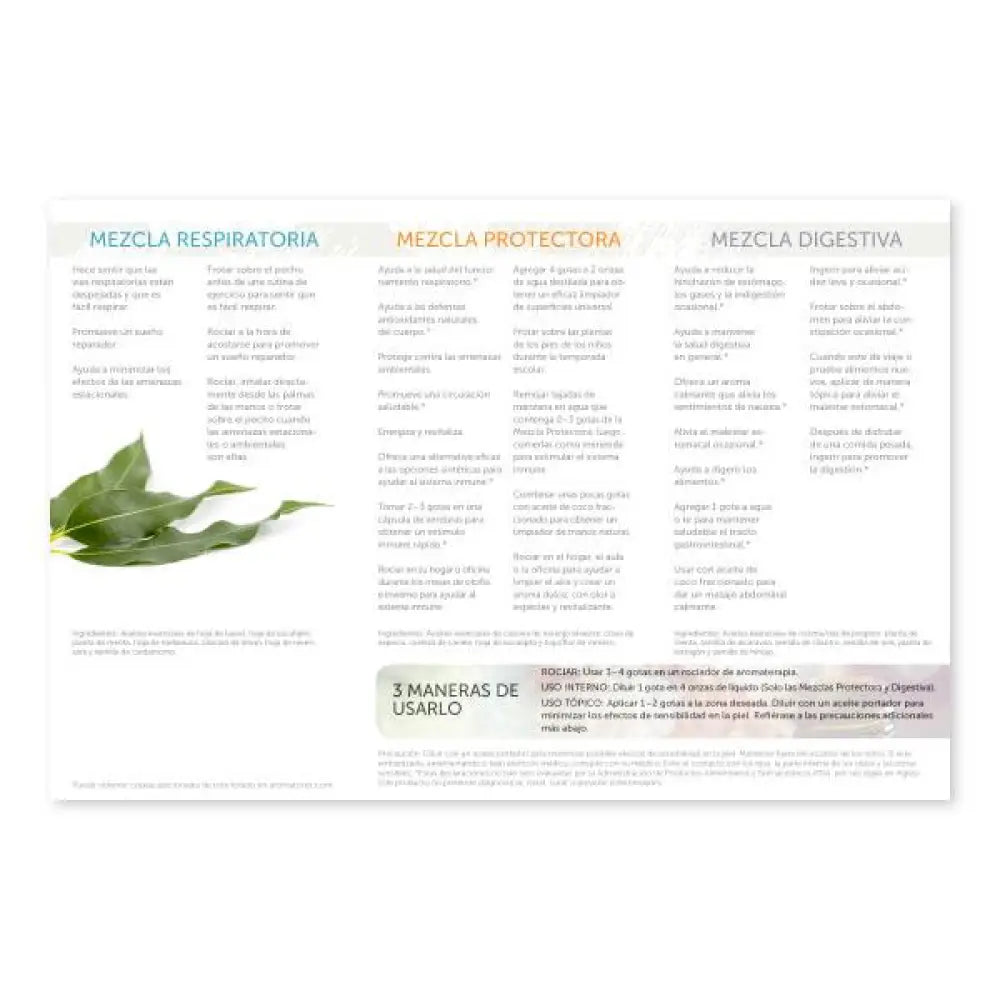 How To Use Essential Oils: Respiratory Protective And Digestive Blends Brochure (Pack Of 25)