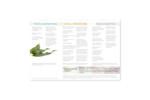 How To Use Essential Oils: Respiratory Protective And Digestive Blends Brochure (Pack Of 25)