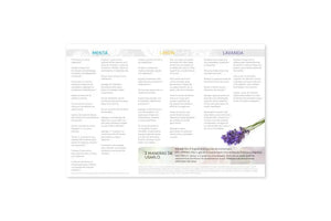 How To Use Essential Oils: Peppermint Lemon And Lavender Brochure (Pack Of 25)