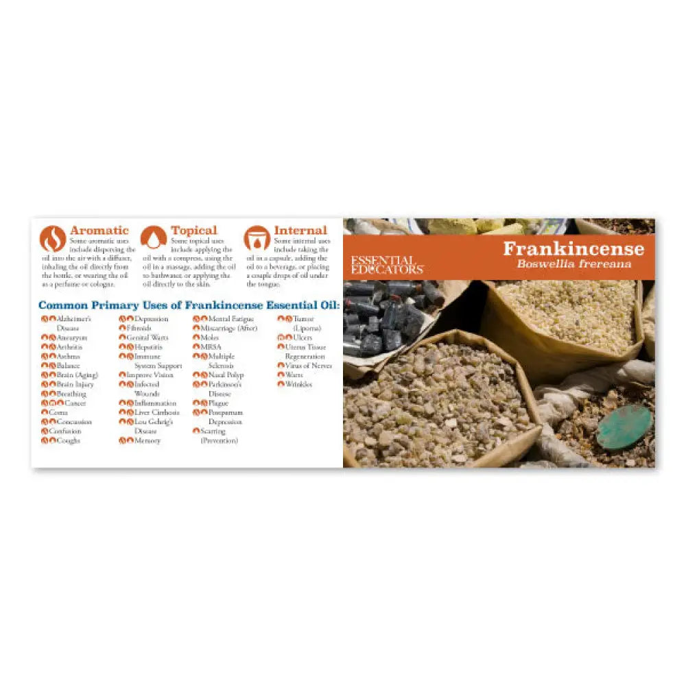 Essential Educators Mini Oil Reference Guides (Pack Of 12)