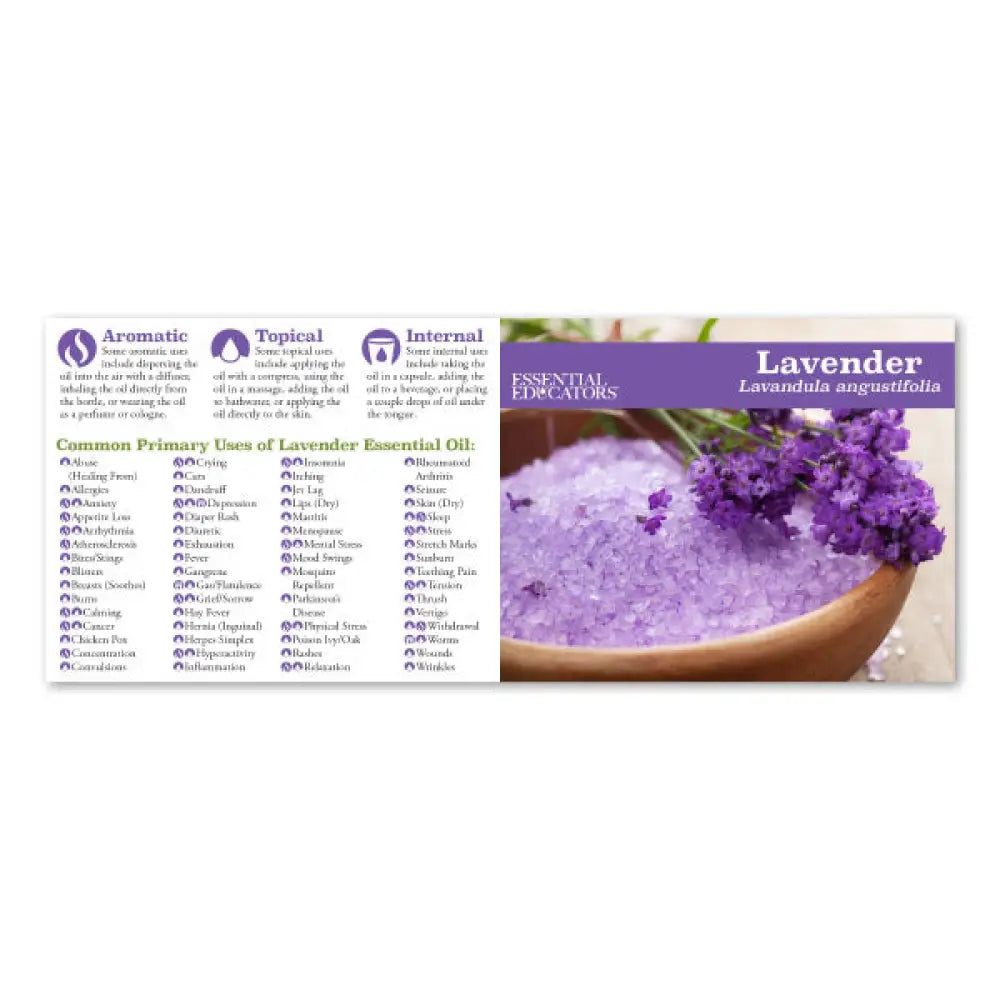 Essential Educators Mini Oil Reference Guides (Pack Of 12)