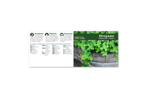 Essential Educators Assorted Mini Oil Reference Guides (Pack Of 72)