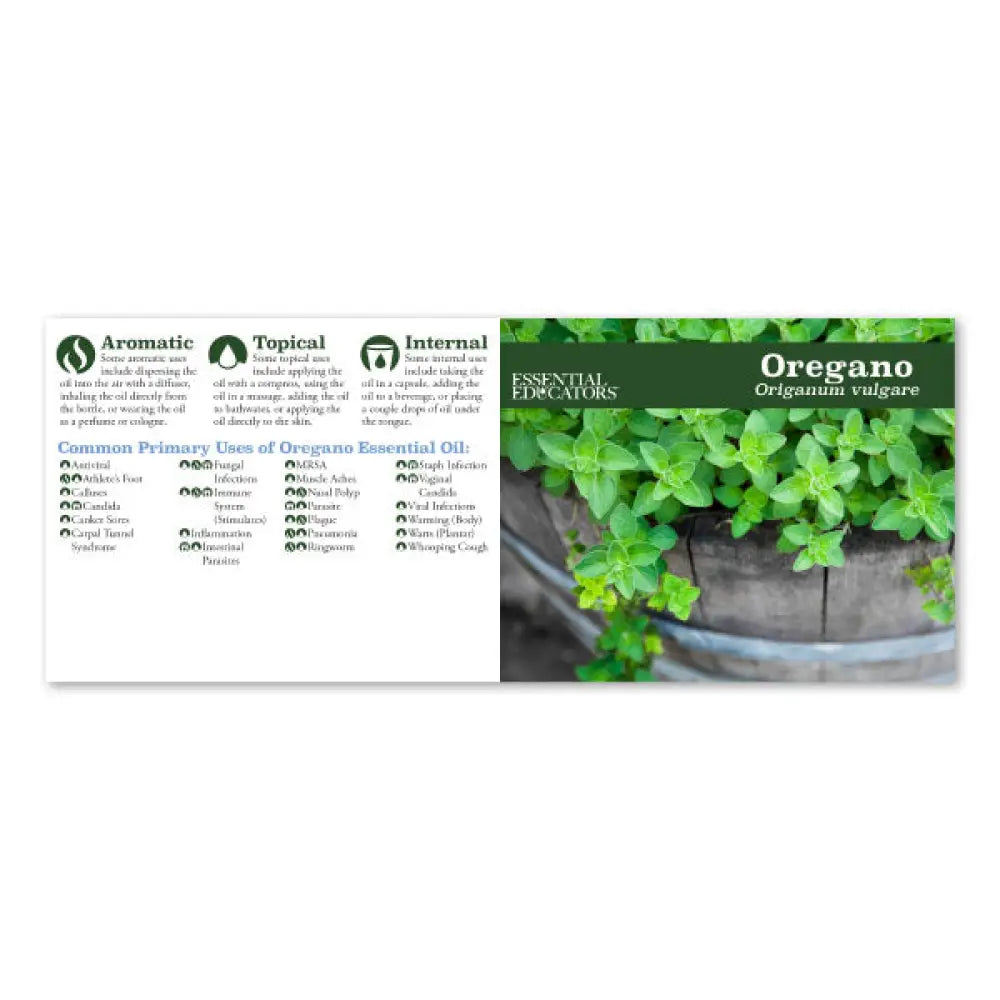 Essential Educators Mini Oil Reference Guides (Pack Of 12)