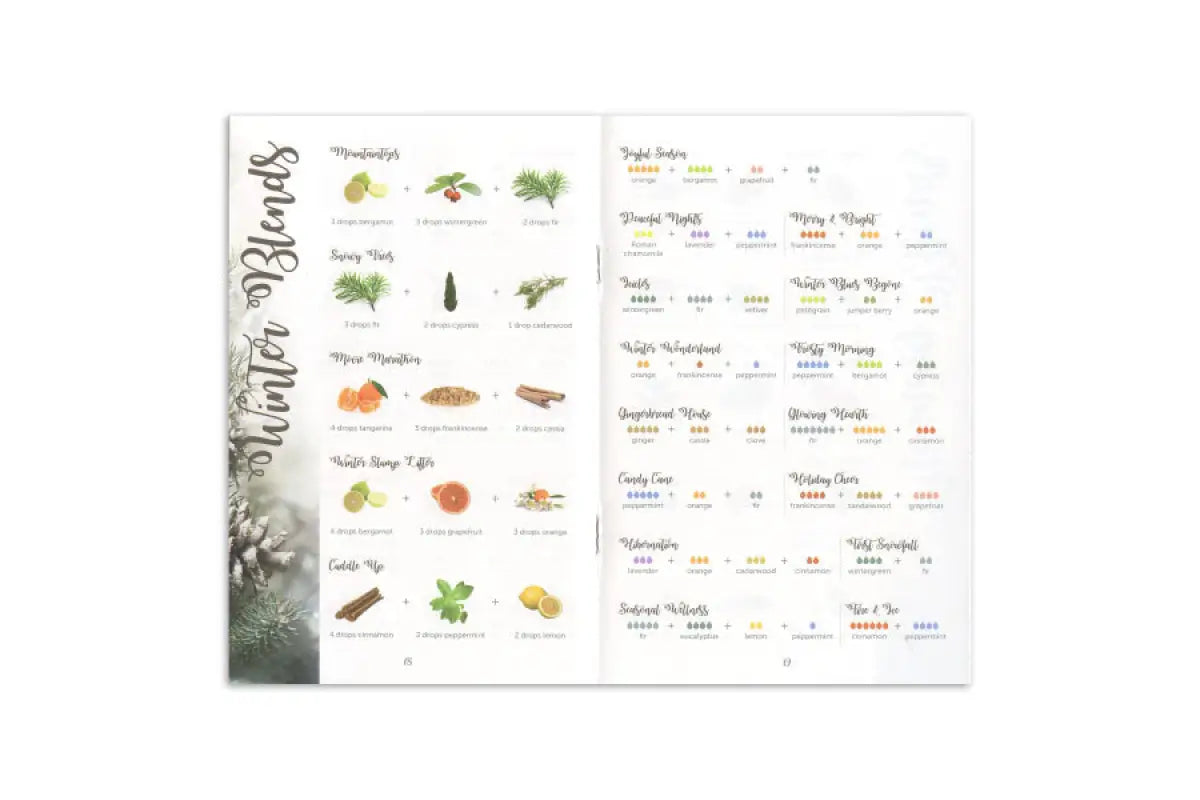"Diffuser Blends to Live By" Booklet—Expanded Edition (Pack of 10)