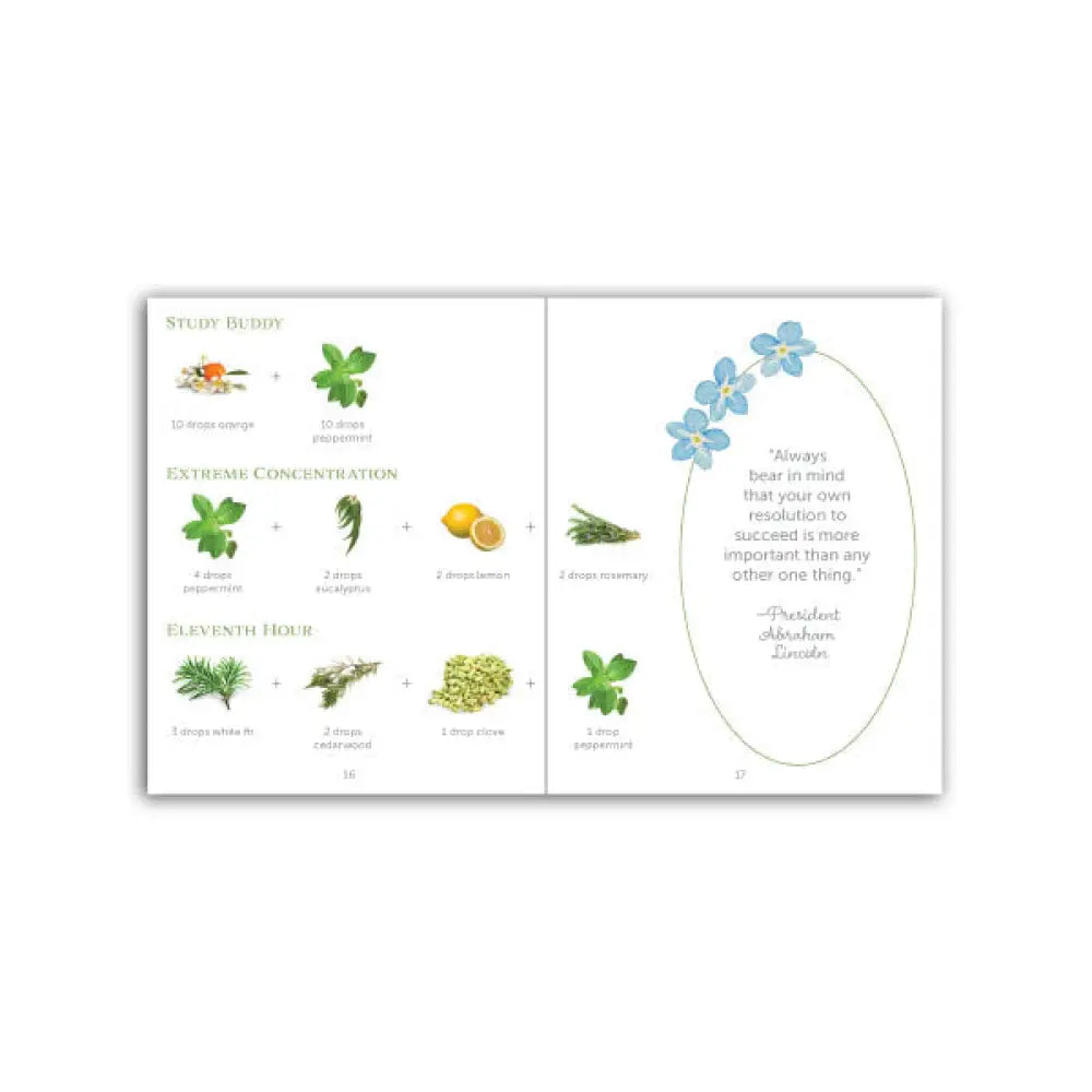 Roller Bottle Blends For Everyday Use Booklet (Pack Of 10)