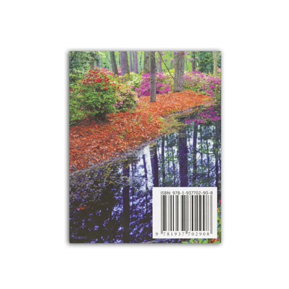 Essential Oil Sprays For Home And Family Booklet (Pack Of 10)