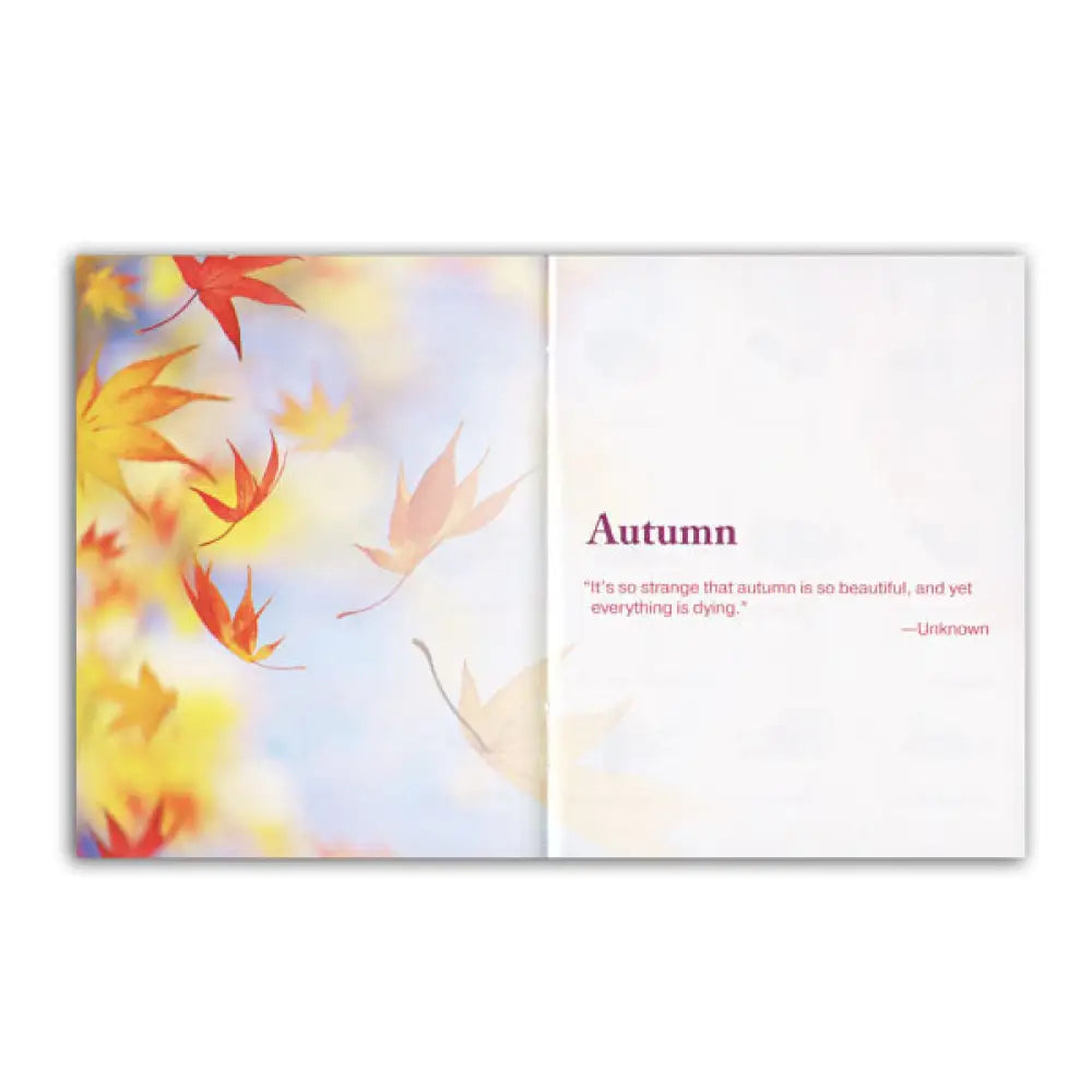 Essential Oil Sprays For Home And Family Booklet