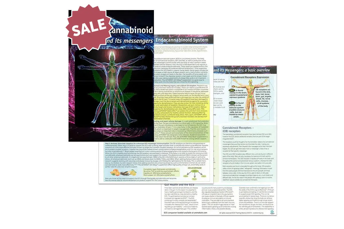 The Endocannabinoid Kit (Set of 3)
