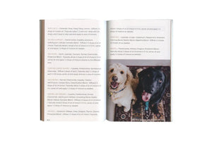Essential Oils For Pets Guidebook By Janet Roark Dmv
