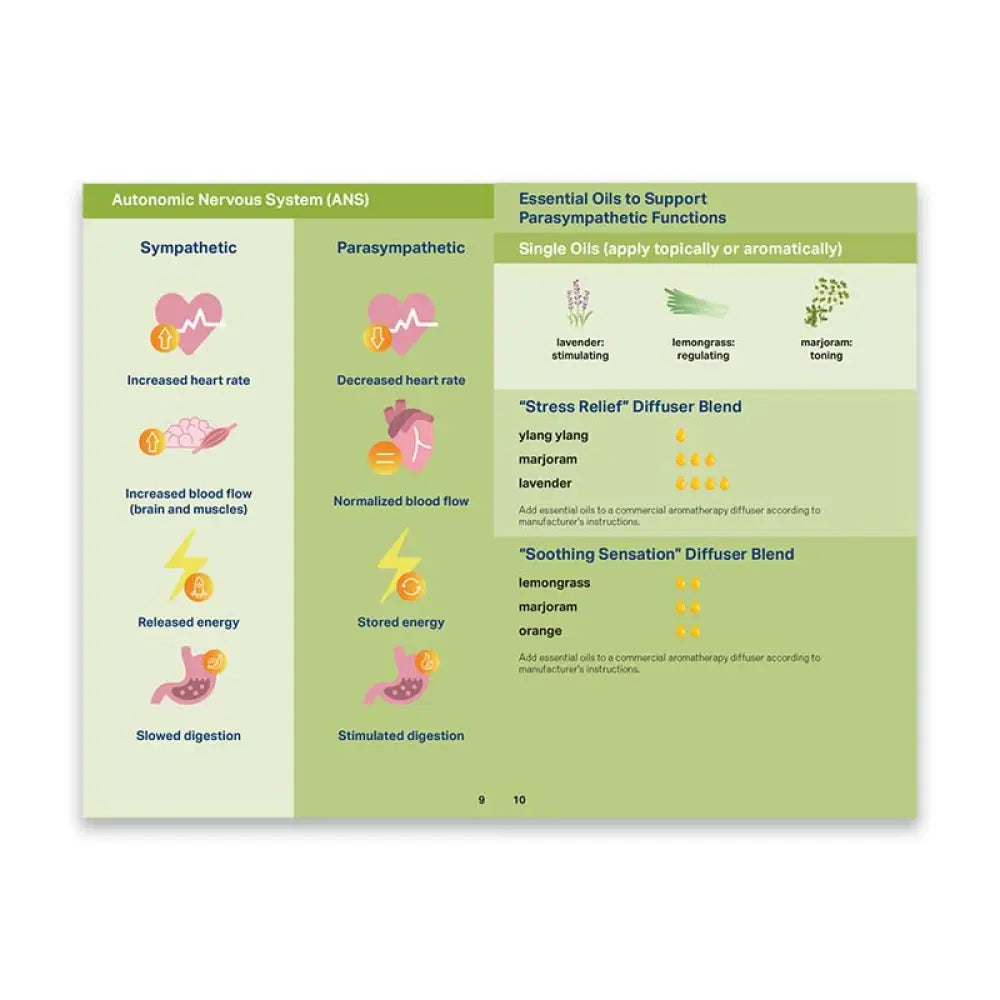 Essential Support For Ptsd Booklet