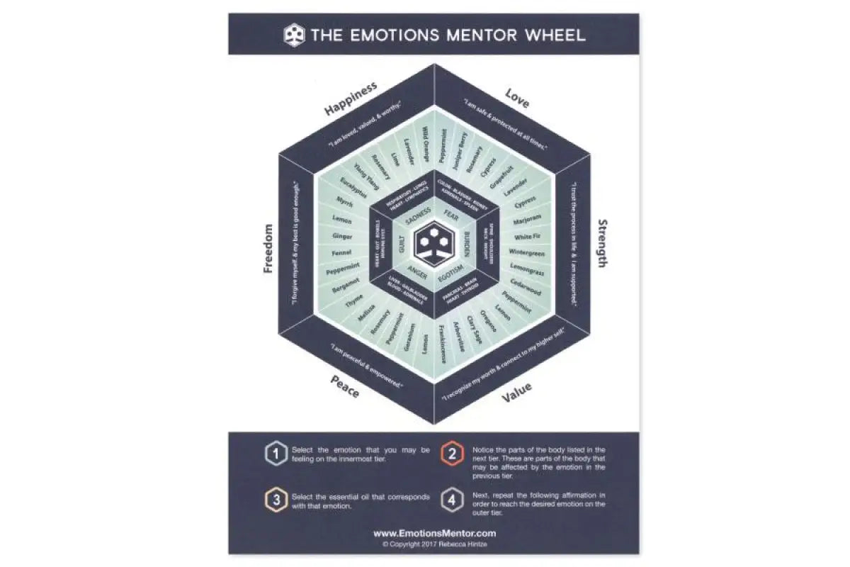 The Emotions Mentor Wheel